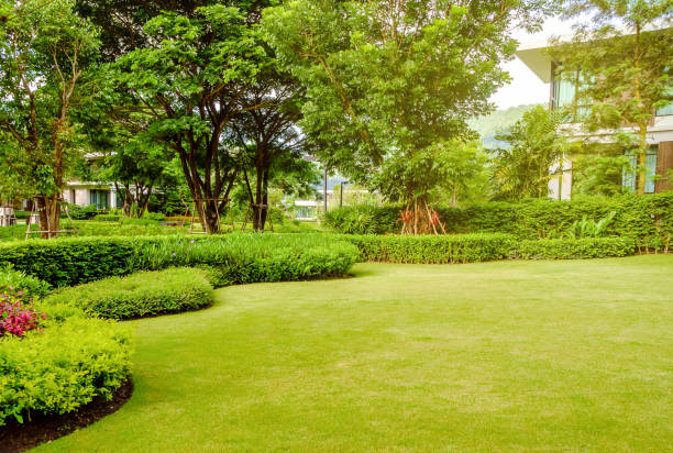 дом в парке, зеленый газон, передний двор красиво оформленный сад - spring flower tree decoration стоковые фото и изображения