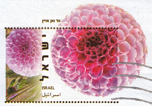 Israel - CIRCA 2019: Israeli postage stamp designed for letters and parcels within the country at 24 o'clock with a picture of a beautiful pink flower, circa 2018