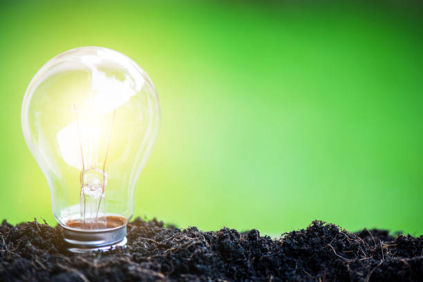 istock Light bulb glowing in soil, idea or energy and safe environment concept 1207247428