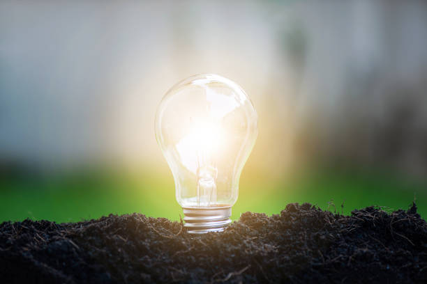 istock Light bulb glowing in soil, idea or energy and safe environment concept 1207247964