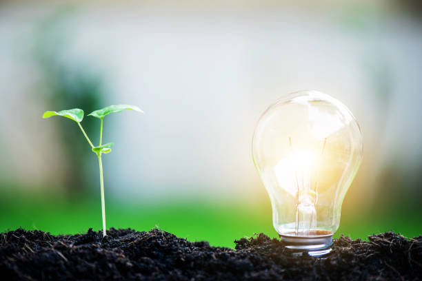 istock Light bulb and tree sapling glowing in soil, idea or energy and safe environment concept 1207248091
