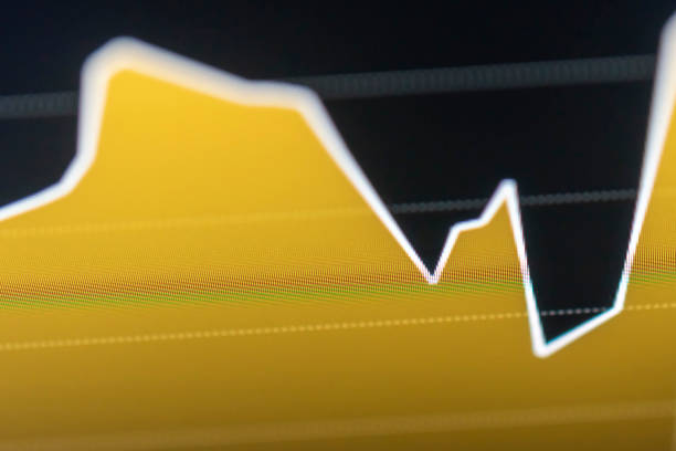 istock Business Graph Data Screen with Chart of Stock Market in Selective Focus 1207248199