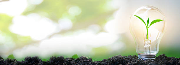 sapling glowing in light bulb in soil with natural bokeh background, idea or energy and safe environment concept - power saving imagens e fotografias de stock