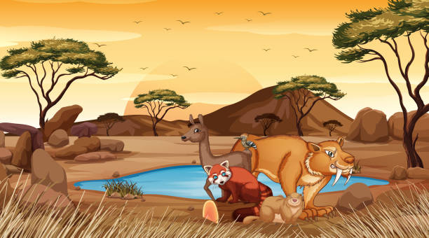Scene with wild animals in the field Scene with wild animals in the field illustration wombat stock illustrations