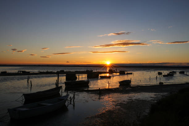 istock the French Camargue 1207251700