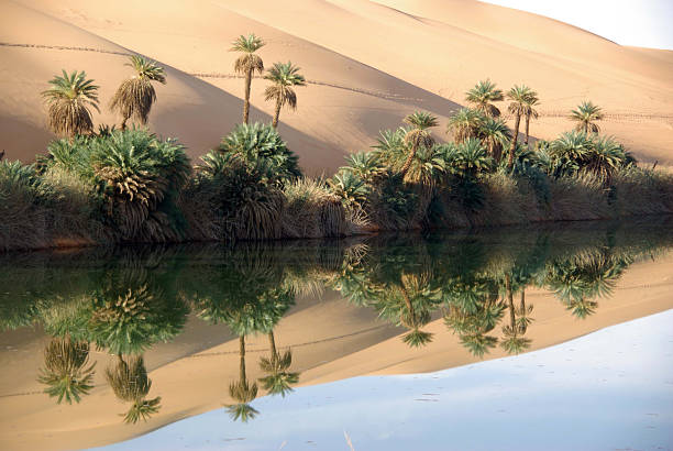 lake in wüste, libyen - ubari stock-fotos und bilder