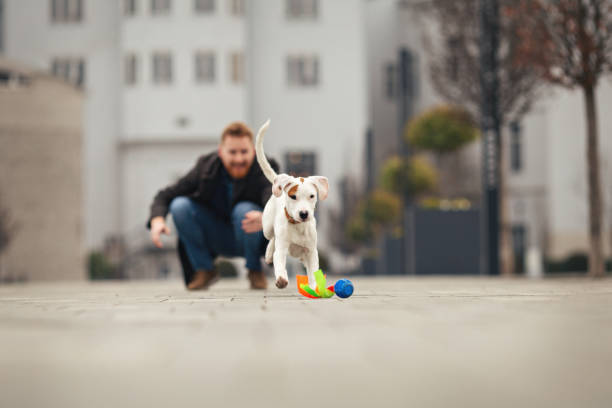 istock Handsome young man spending time with his dog 1207253042