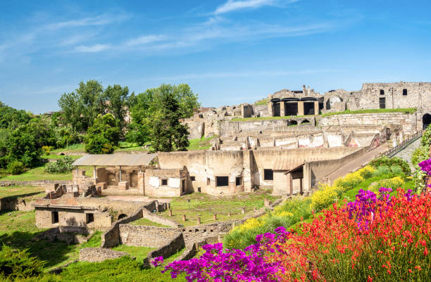 istock Ancient ruins of Pompei city 1207253087