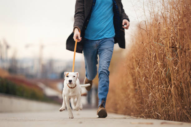 istock Handsome young man spending time with his dog 1207253559