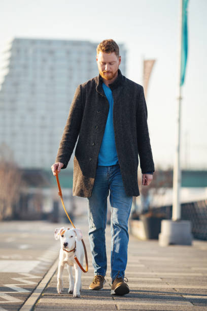 istock Handsome young man spending time with his dog 1207256491