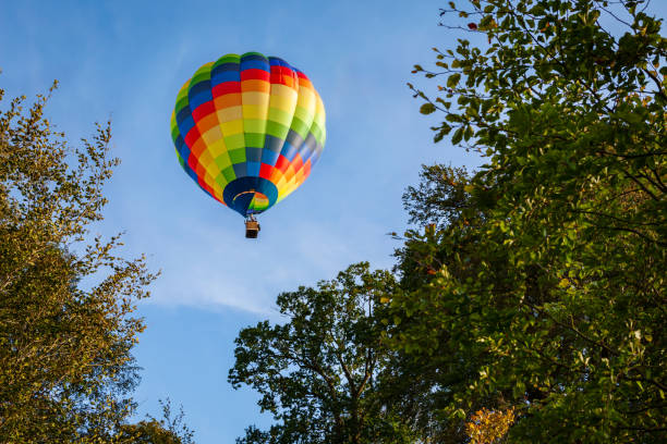 istock Multi coloured balloon, framed by autumnal trees against a blue sky 1207262810