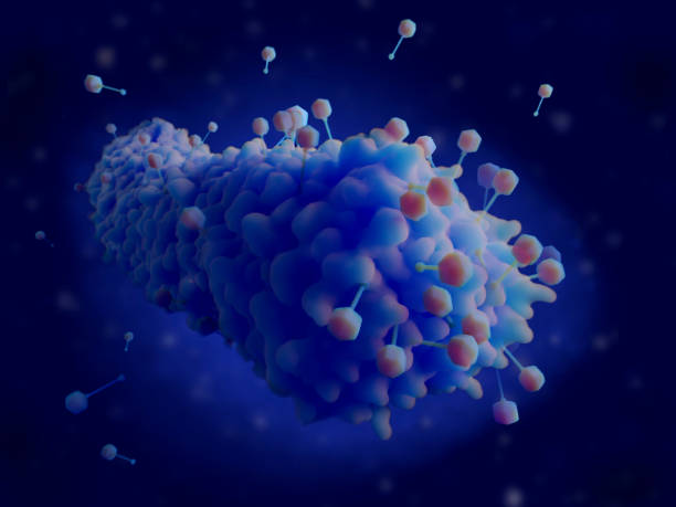 istock Phage therapy against multi-drug resistant bacteria. Bacteriophages infecting a bacterium. 1207264425