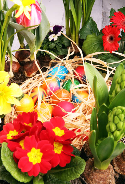 istock Easter eggs hiding in the grass with daffodil, tulips and other spring beautiful flowers 1207264434