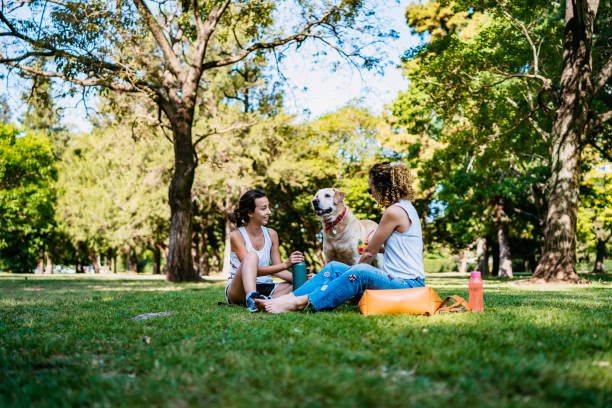 istock Two women and dog relaxing in park 1207264598