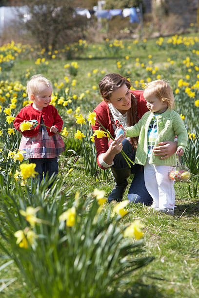 istock Mother And Children In Daffodil Field With Easter Eggs 120726463