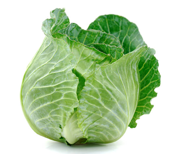 chou vert d’isolement sur le fond blanc - green cabbage photos et images de collection