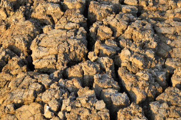 Cracked Ground, Close-up stock photo