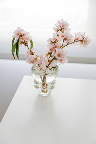 istock Glass vase with almond flowers on a white background 1207272804