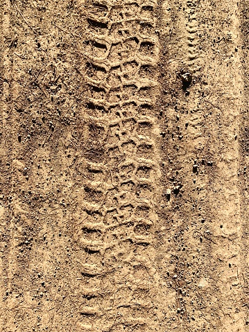 Tire trace in mud