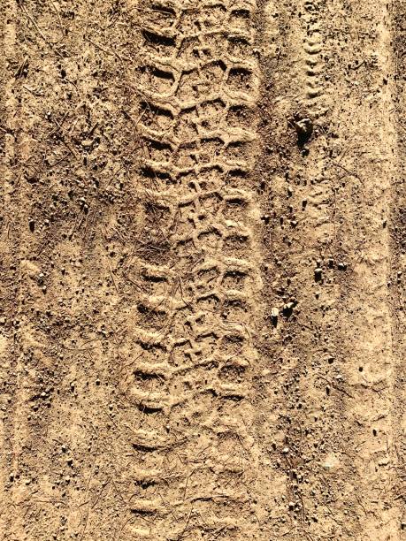 tracks in the mud - dirt road textured dirt mud imagens e fotografias de stock