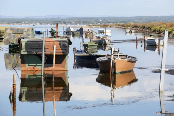 istock the French Camargue 1207273519