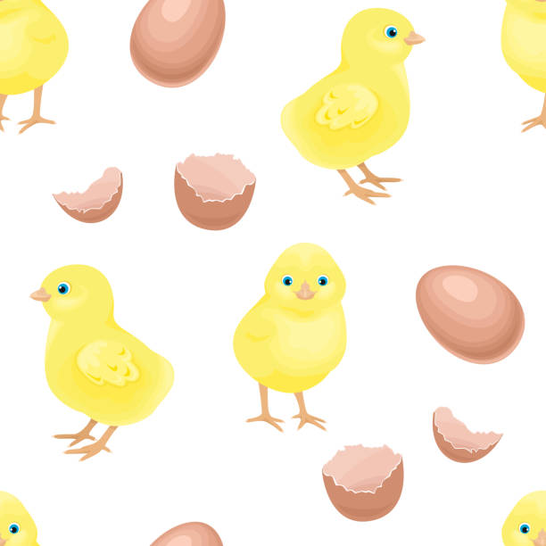 노란색 작은 닭, 계란과 깨진 껍질 원활한 패턴. 흰색 배경에 고립 된 귀여운 병아리의 벡터 그림입니다. - animal egg chicken new cracked stock illustrations