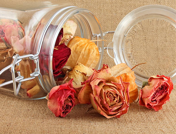 Buds of dry roses in glass bottle stock photo