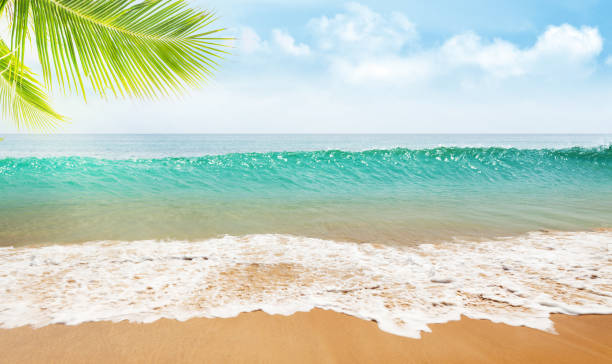 istock Summer tropical sea with waves and blue sky 1207275605