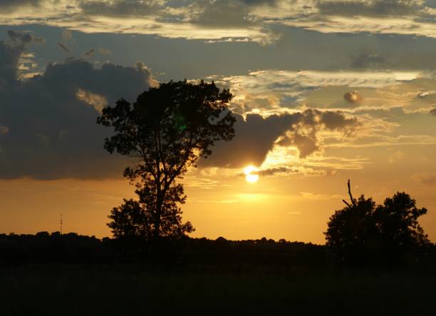 istock Silhouette of trees with a dramatic sunset in the background. 1207275894