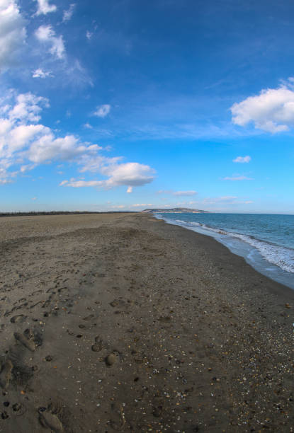 istock the French Camargue 1207275902