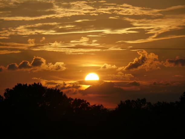 istock Beautiful sunset half-covered by dramatic clouds in the skies above the trees. 1207275997
