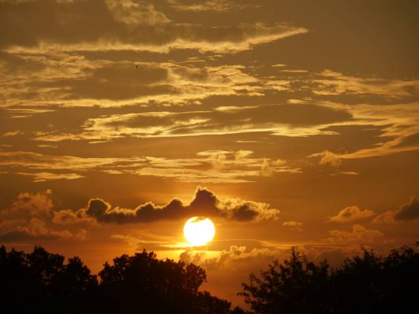 istock Dramatic, beautiful sunset with dramatic clouds in the skies above the trees. 1207276035