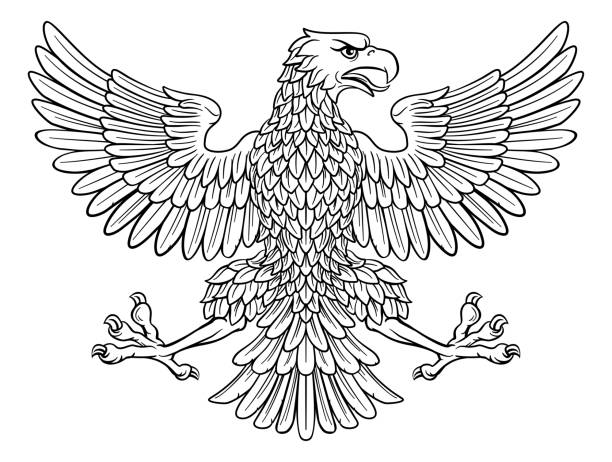 ilustrações de stock, clip art, desenhos animados e ícones de eagle imperial heraldic symbol - white background clip art american culture black