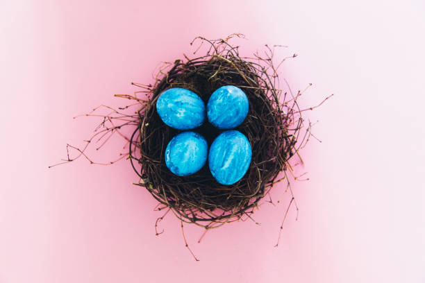 istock Easter eggs in bird nest on pink background - spring concept 1207276592