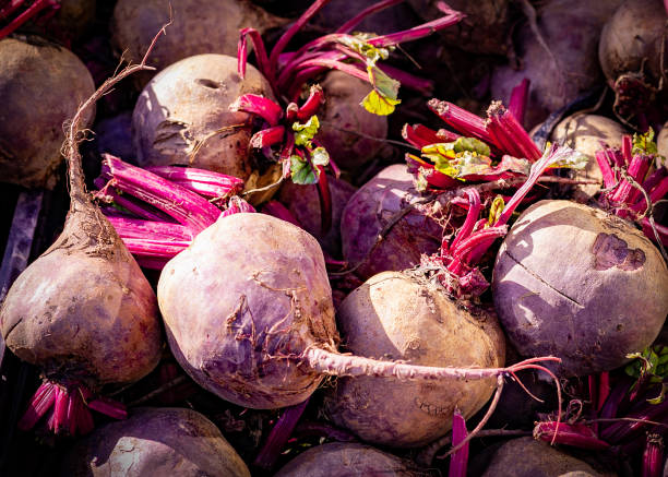 istock fresh organic from the farm, beets 1207277277