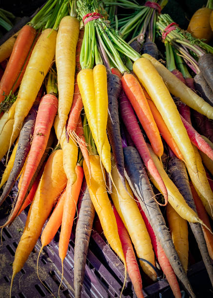 istock fresh organic carrot rainbow straight from farm 1207277278