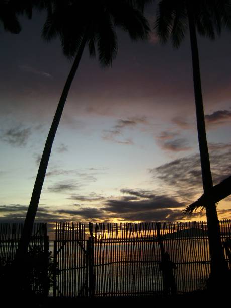 istock Portrait view, tropical sunset seen through a bamboo fence. 1207277537