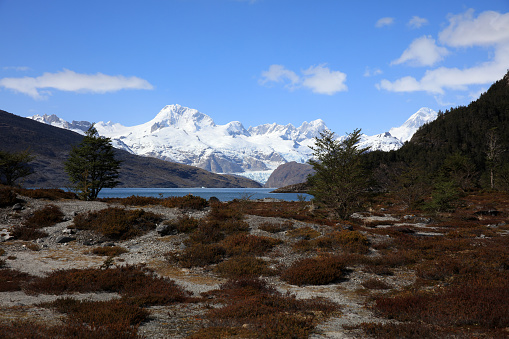 Landscape at Ainsworth Bay. Almirantazgo Fjord. Patagonia. Chile