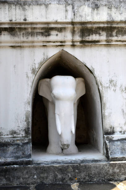 Elephant Stucco stock photo