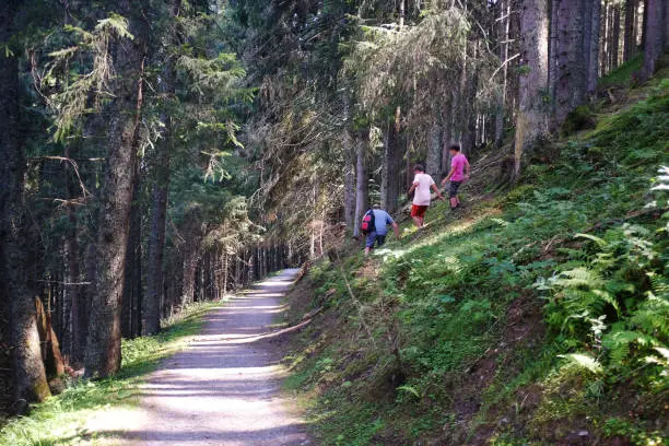 AUgust 4, 2017 - Saalachtal, Austria: man and two boys walking in a row down the hill among the fir trees next to a footpath on a summer sunny day in mountains.