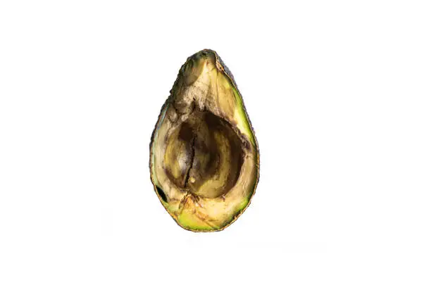 Photo of Halved rotten spoiled avocado fruit macro close up shot isolated on pure white