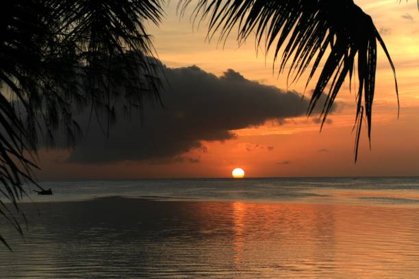 istock Breathtaking sunset casting golden reflections on the water 1207281645