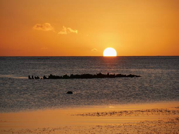 istock Beautiful sunset half-sunk in the waters and reflected in the beach 1207282897
