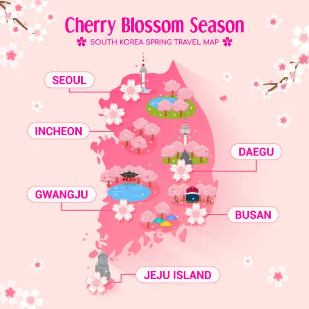 Vector illustration of South Korea Cherry blossom season travel map vector illustration. Sakura festival travel attraction.