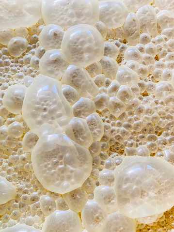 Close up image of cachaça fermentation bubbles.