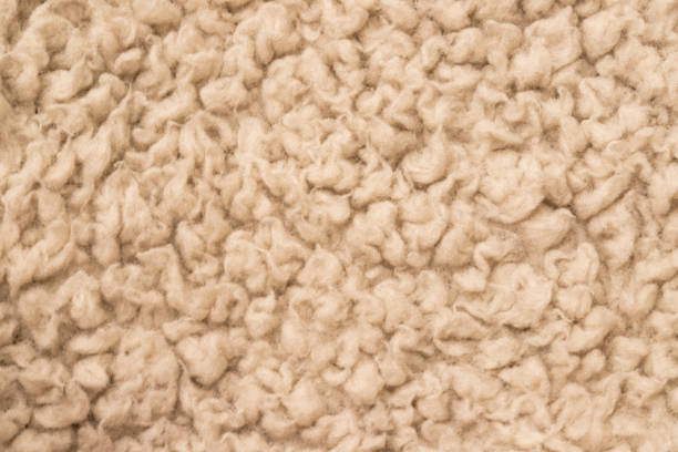 istock Texture of a beige wool plaid 1207285894