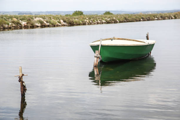 the French Mediterranean coast on wild Camargue