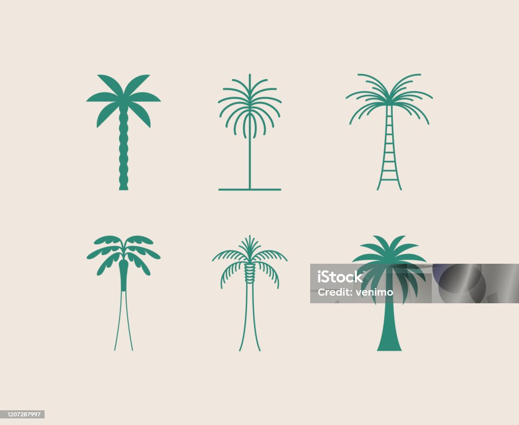 Modelo de design de logotipo vetorial com palmeira - emblema abstrato de verão e férias e emblema para aluguel de férias, serviços de viagem, spa tropical e estúdios de beleza - Vetor de Palmeira royalty-free
