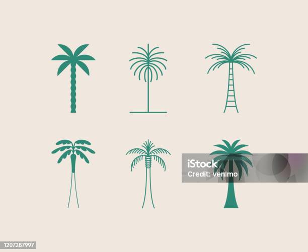 Vetores de Modelo De Design De Logotipo Vetorial Com Palmeira Emblema Abstrato De Verão E Férias E Emblema Para Aluguel De Férias Serviços De Viagem Spa Tropical E Estúdios De Beleza e mais imagens de Palmeira