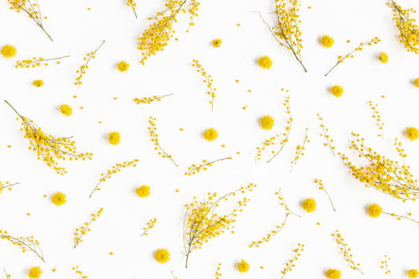 istock Flowers composition. Pattern made of yellow flowers on white background. Spring concept. Flat lay, top view 1207288450
